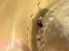 564062ab-7128-4af3-83db-a1ac639d7155.jpeg