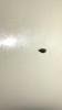 img-20230226-wa0002.jpg